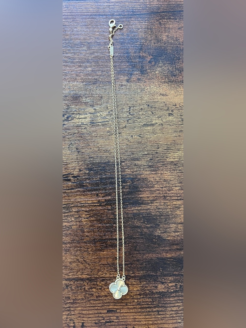 Delicate Gold Chain Necklace - Women's Jewelry